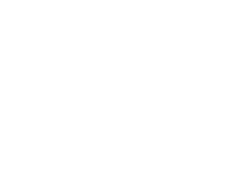 partner-logo