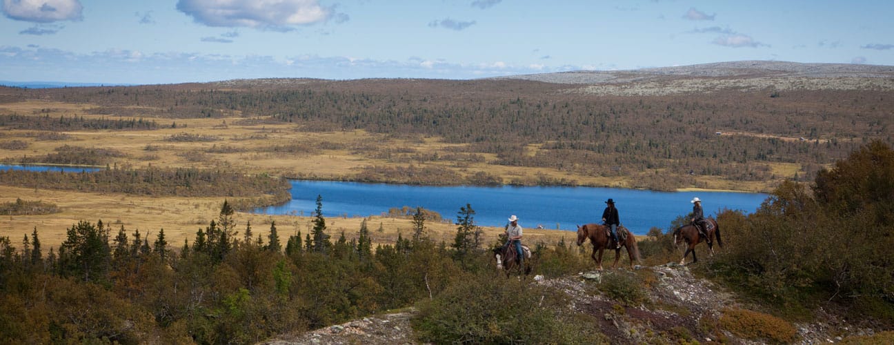 Trumvallens Fjällridning