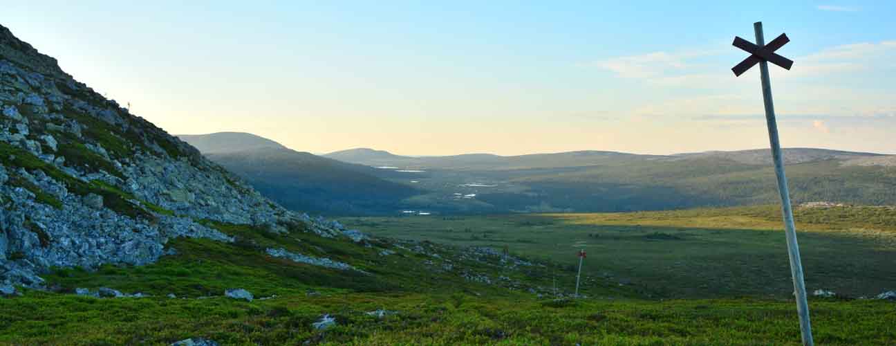 LF Jämtland