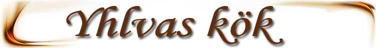 partner-logo