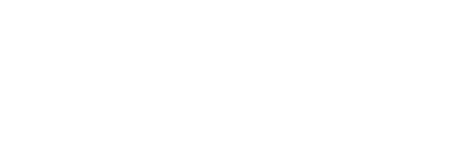partner-logo
