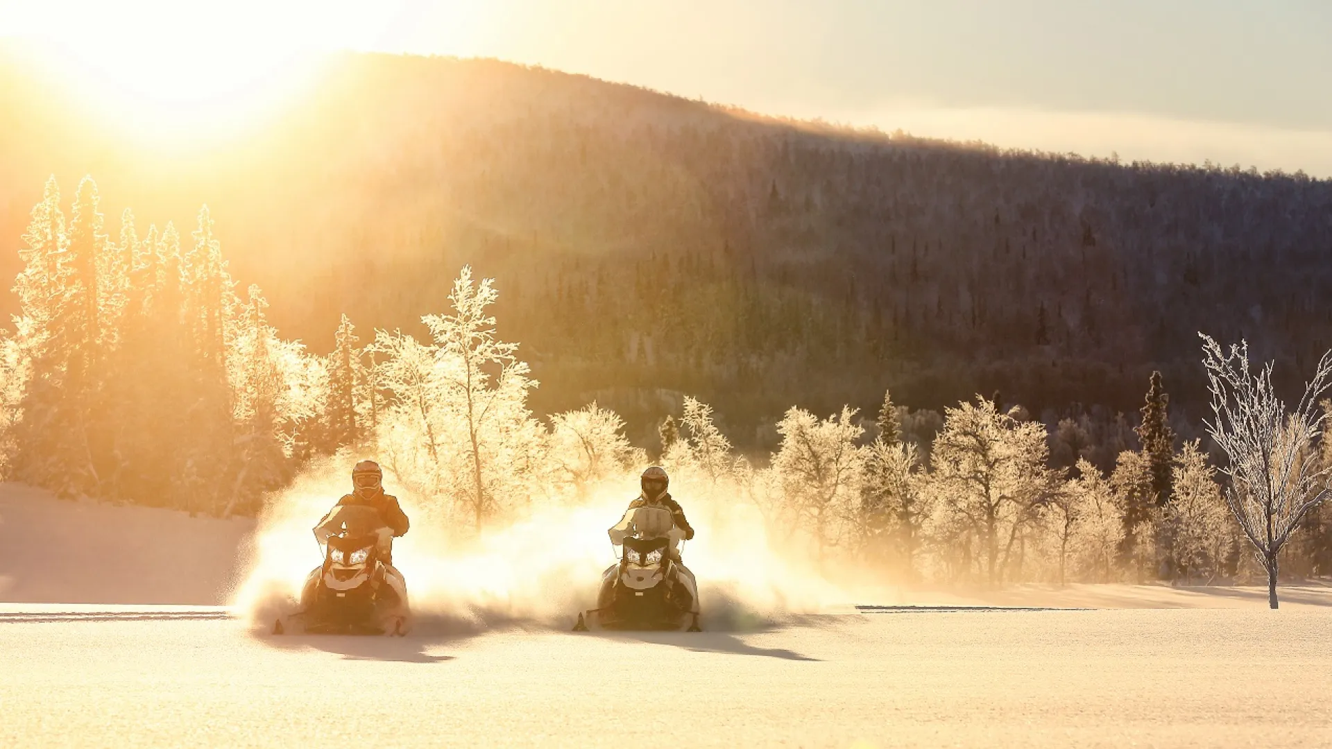Vemdalen Experience & VEMA