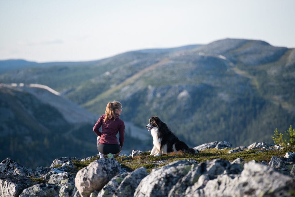 Bilden visar en kvinna och en hund som sitter på en fjälltopp och ser ut över närliggande toppar.